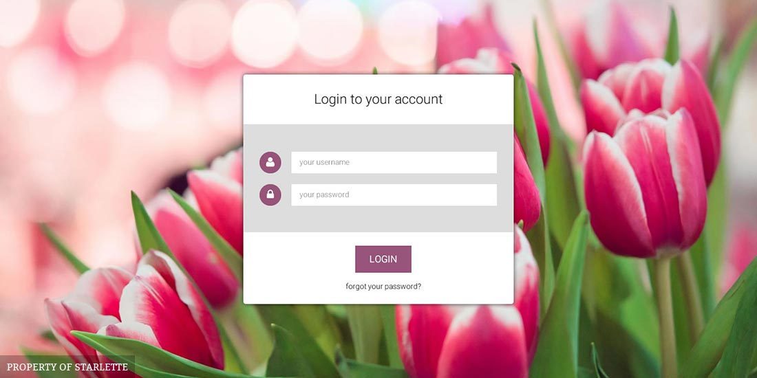 Elaine Thorne Website | Image 139